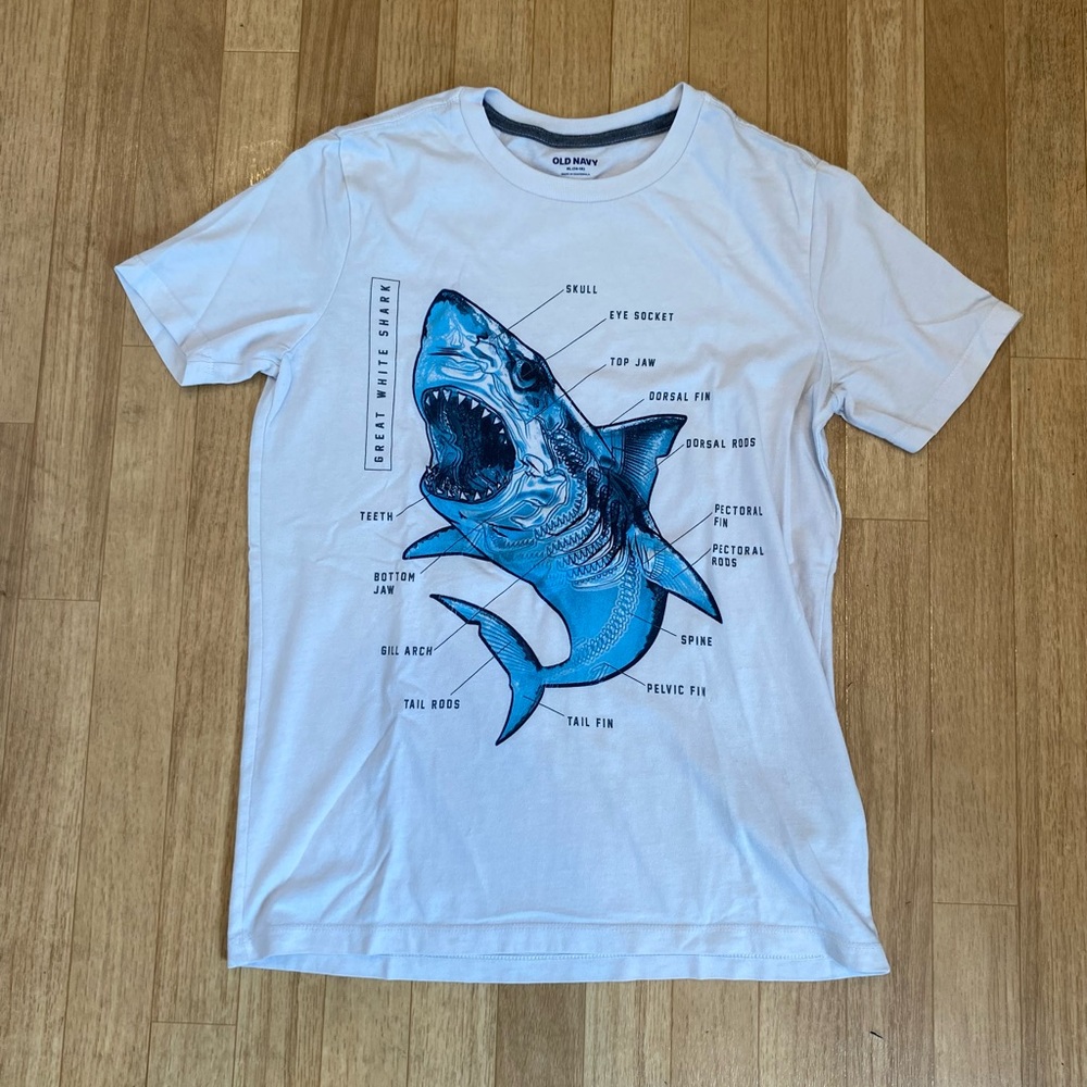 GREAT WHITE SHARK Boys Tee Shirt Size XL (14-16)
